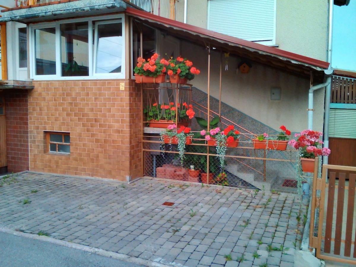 Apartment Janja Vojnik Exteriér fotografie
