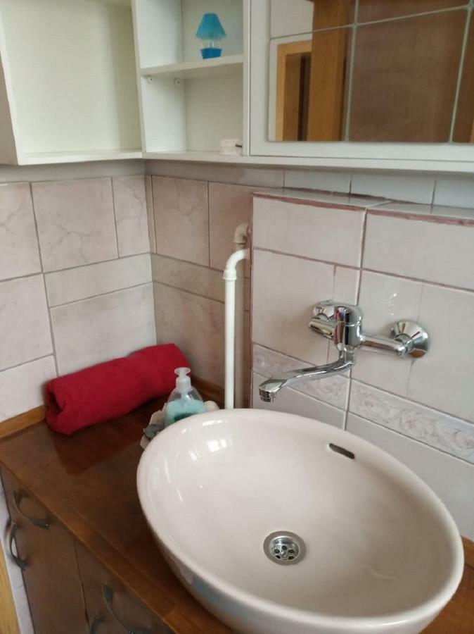 Apartment Janja Vojnik Exteriér fotografie